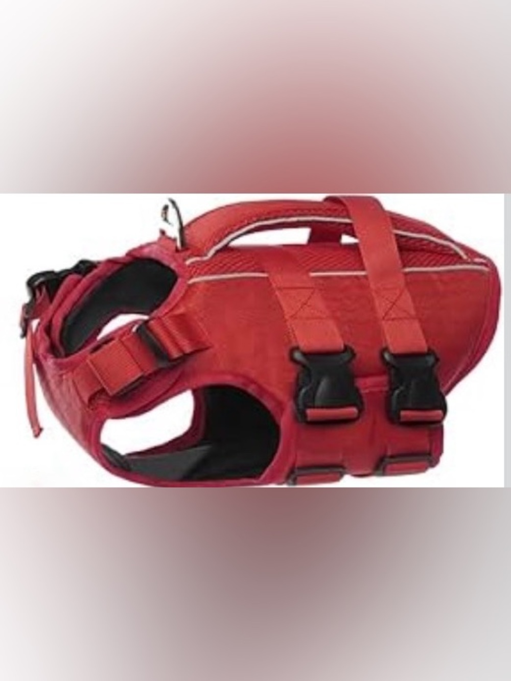 Small Red water safety vest for dogs
